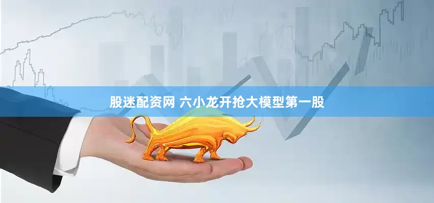 股迷配资网 六小龙开抢大模型第一股