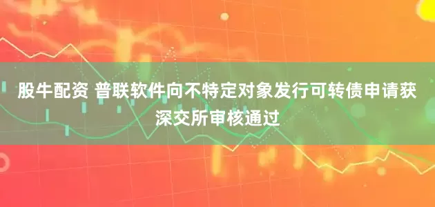 股牛配资 普联软件向不特定对象发行可转债申请获深交所审核通过